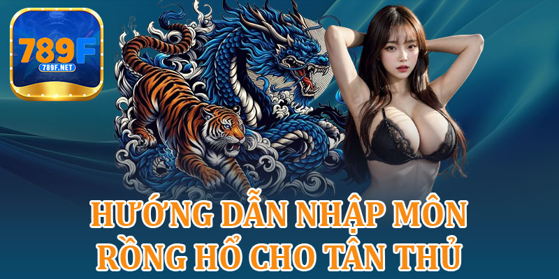 Hướng Dẫn Nhập Môn Rồng Hổ Cho Tân Thủ